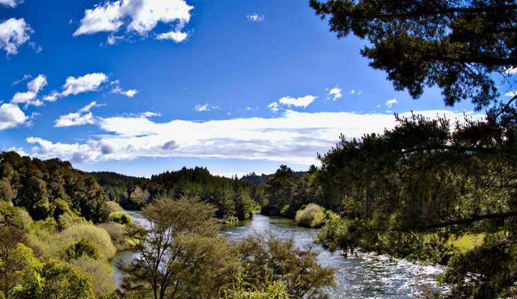 Waikato River Trails accommodation in Taupo NZ